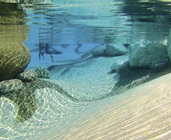 Natural Pool Underwater View