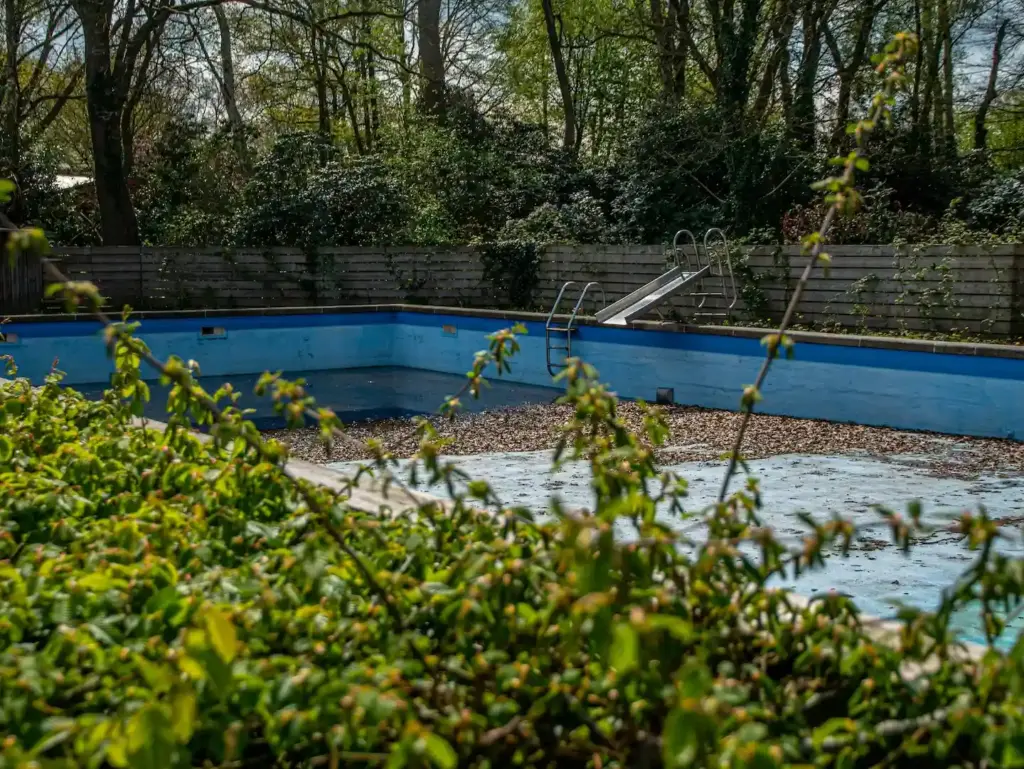 Natural Pool vs Traditional Pool 1 natural swimming pool surrounded by green plants and trees in backyard